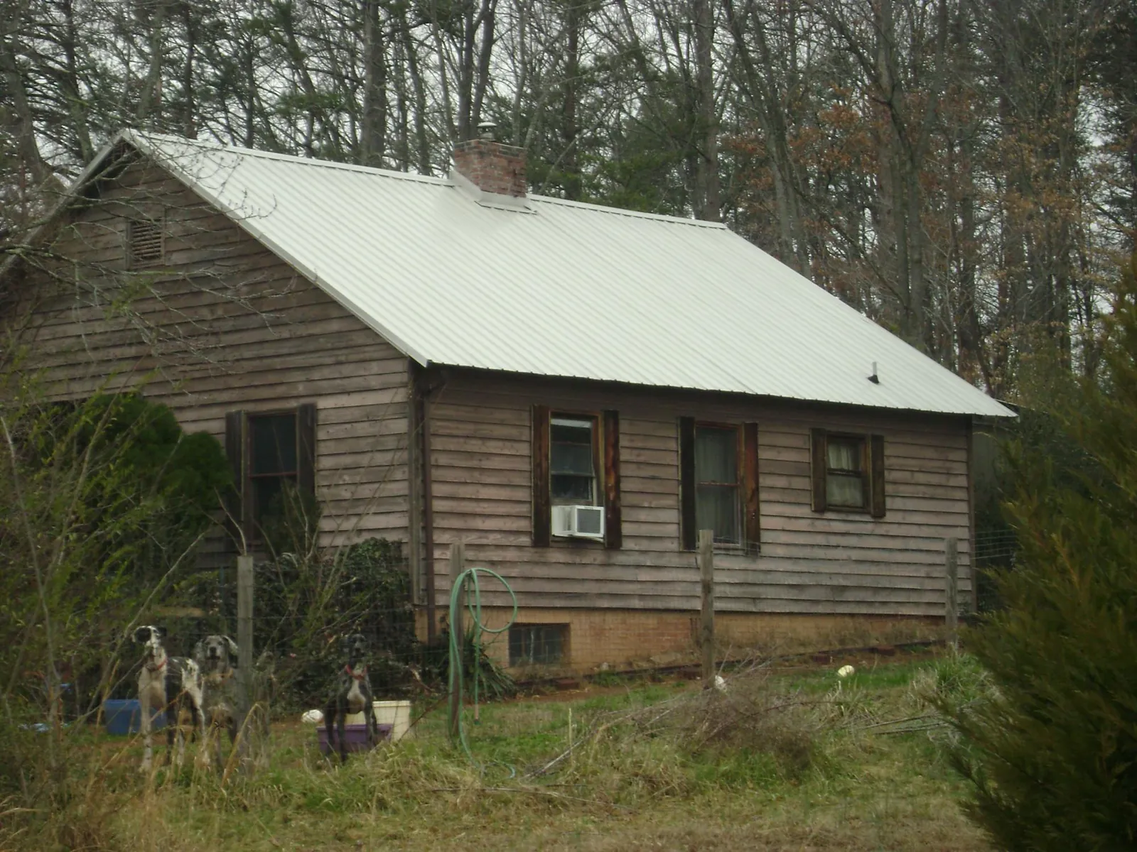 White metal roof on an old wood sided farmhouse, from a Asphalt Shingle Roof Repair job in Clive